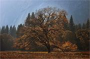 IMG_0048 (1)